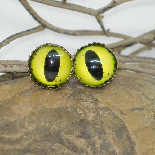 Glass Eye Stud Earrings