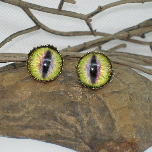 Pair of eye-shaped earrings on a stone surface with branches in the background