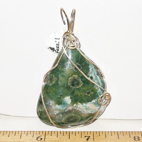 Wire Wrapped Fossil Coral Pendant