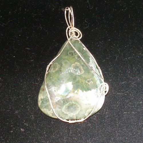 Wire Wrapped Fossil Coral Pendant