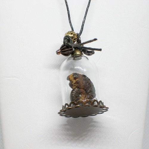 Pendant with a small fossil inside a glass dome on a white background
