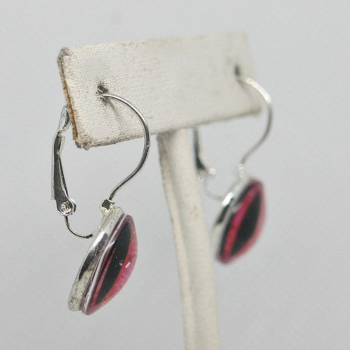 Monster Eye Drop Earrings