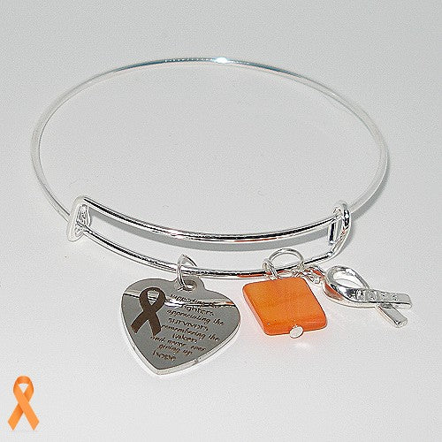Adjustable Silver Tone Bangle Bracelet - MS Awareness
