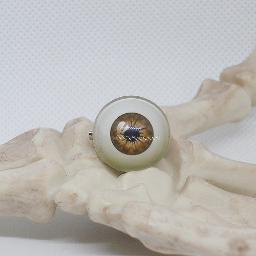 Eyeball prop on a white background