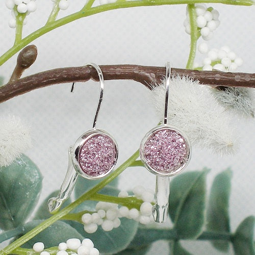 Sparkly Drop Earrings